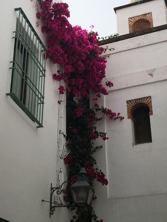 Apartamentos La Hoguera Cordova Esterno foto